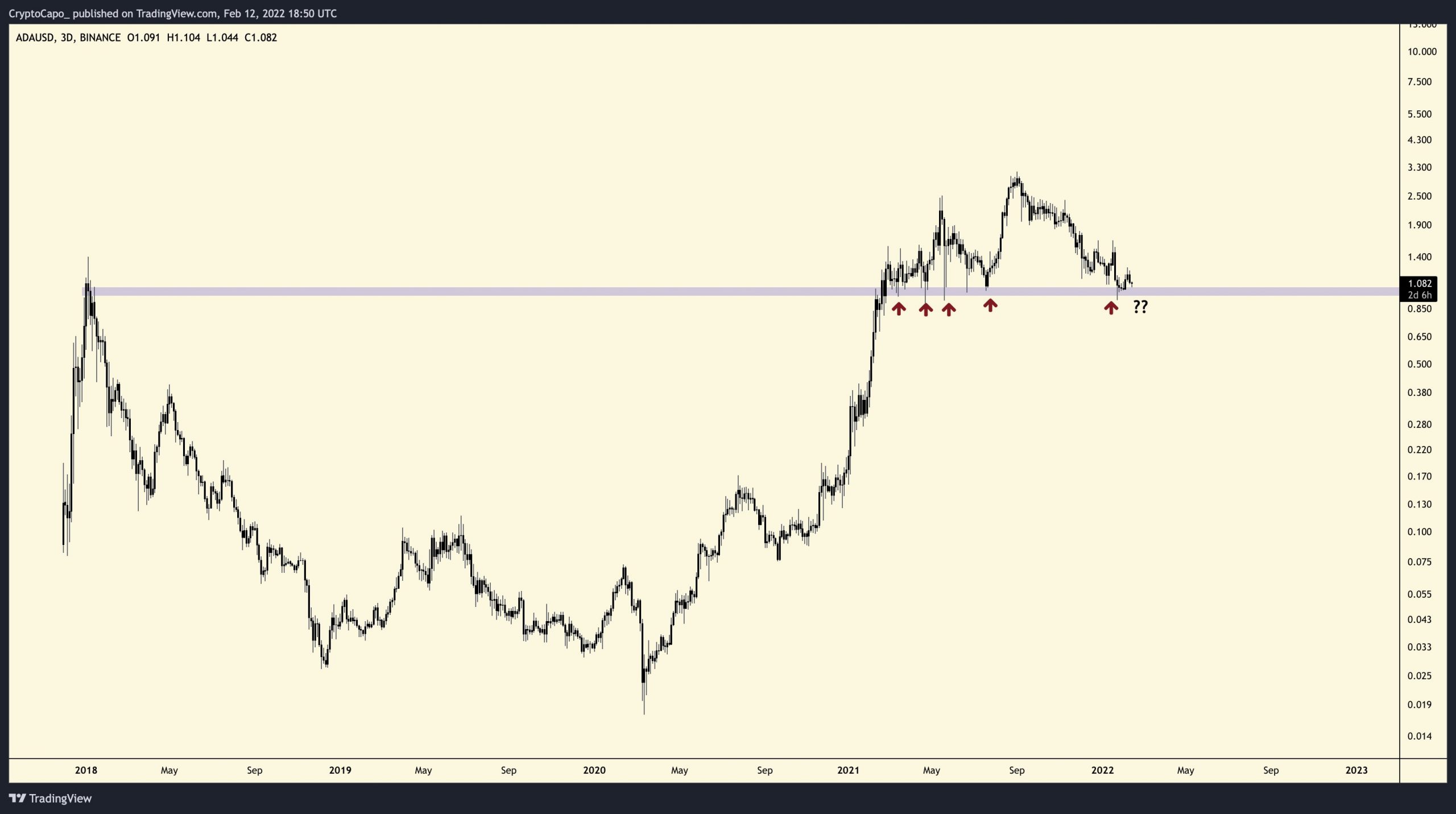 capo cardano scaled