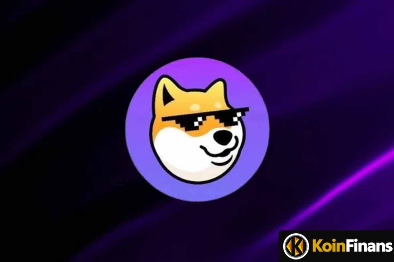 Dogechain kripto para