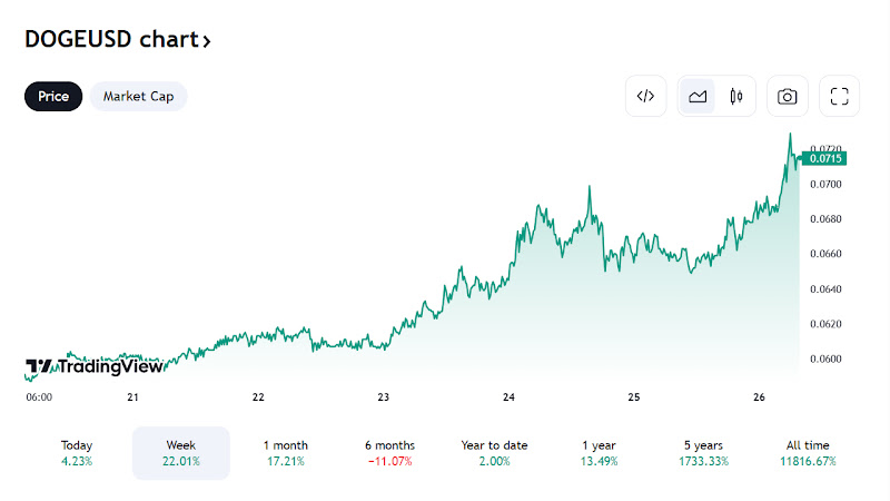 Dogecoin fiyat haraketi