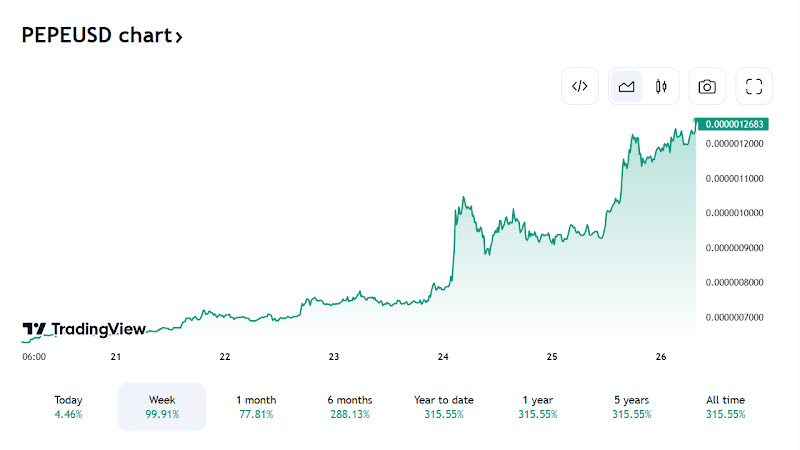 PEPE USD meme coin fiyatı