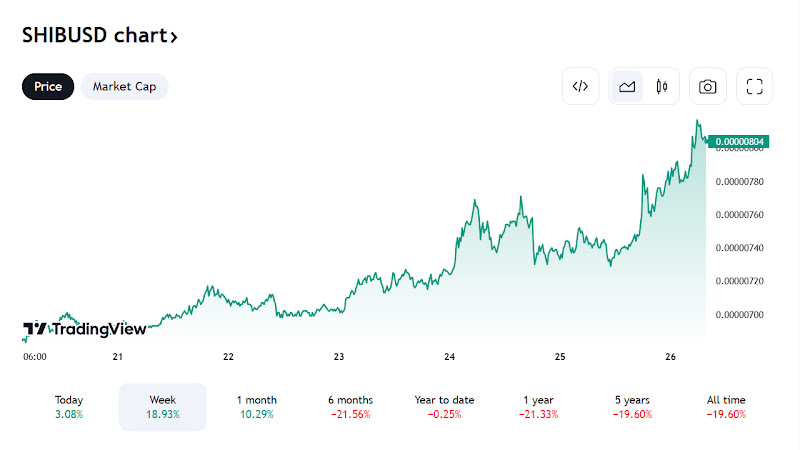 SHIB meme coin fiyat grafiği