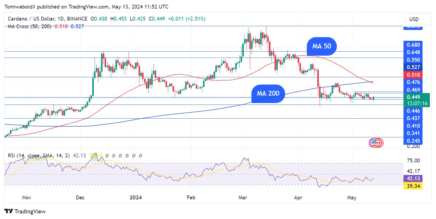 cardano fiyat analizi