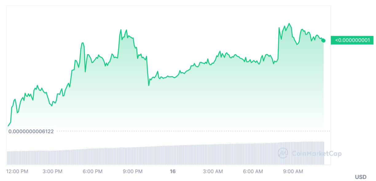 Catcoin fiyat analizi 