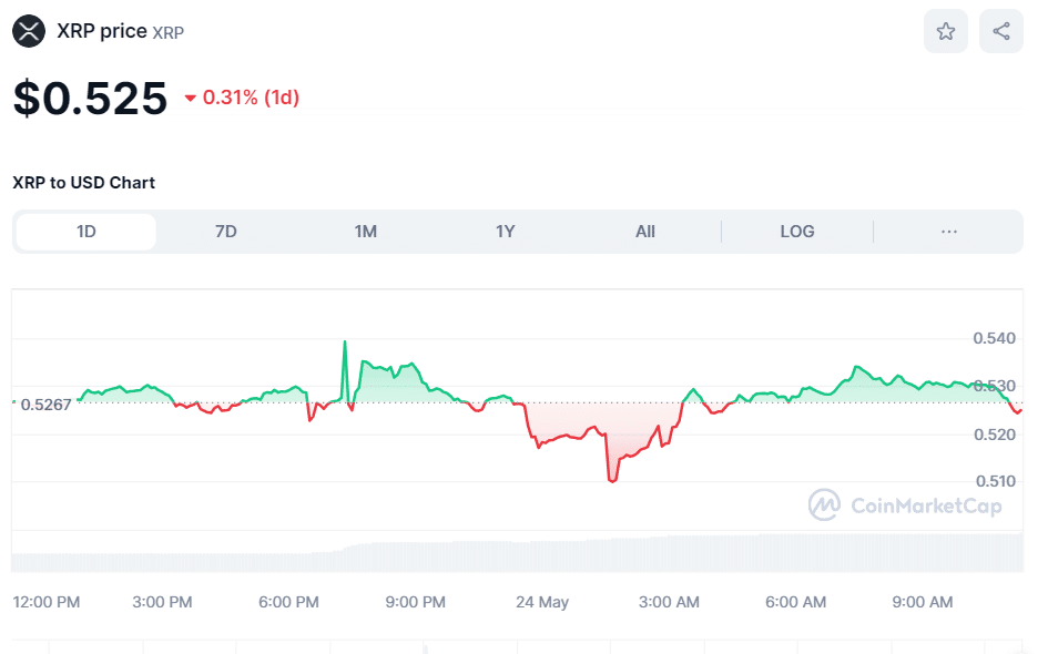 xrp coin fiyat analizi