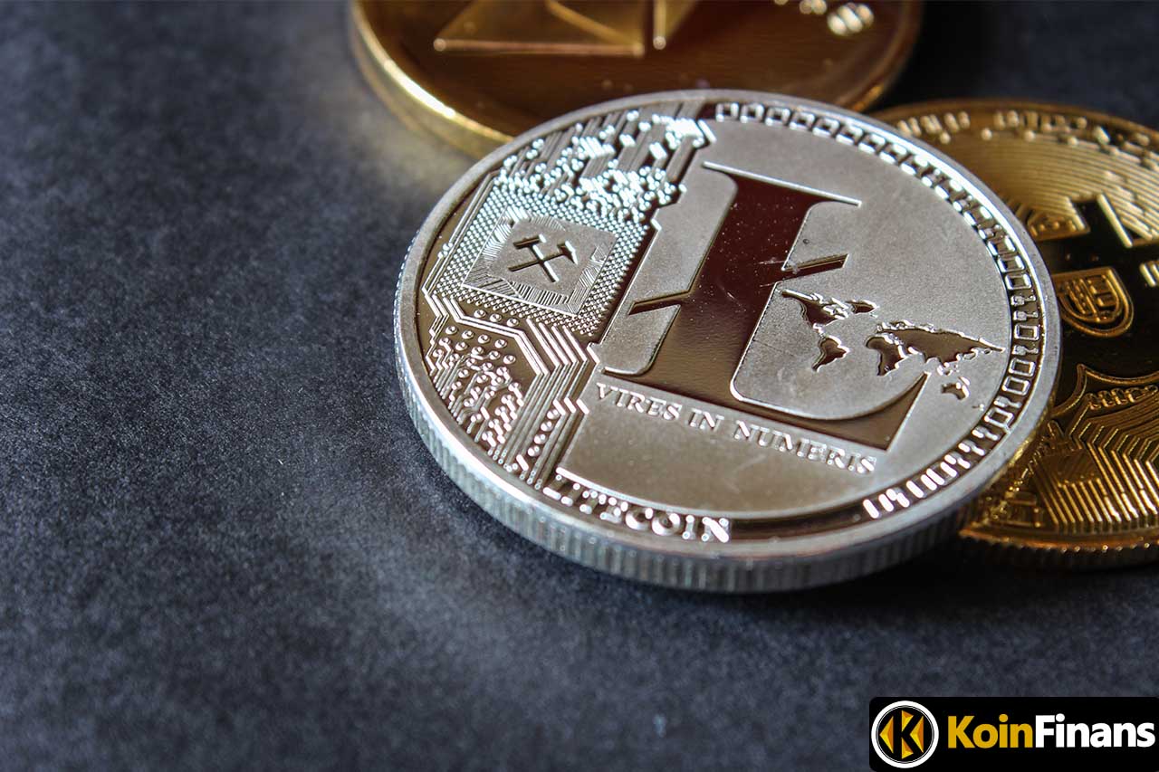 litecoin balinaları birikimine devam ediyor