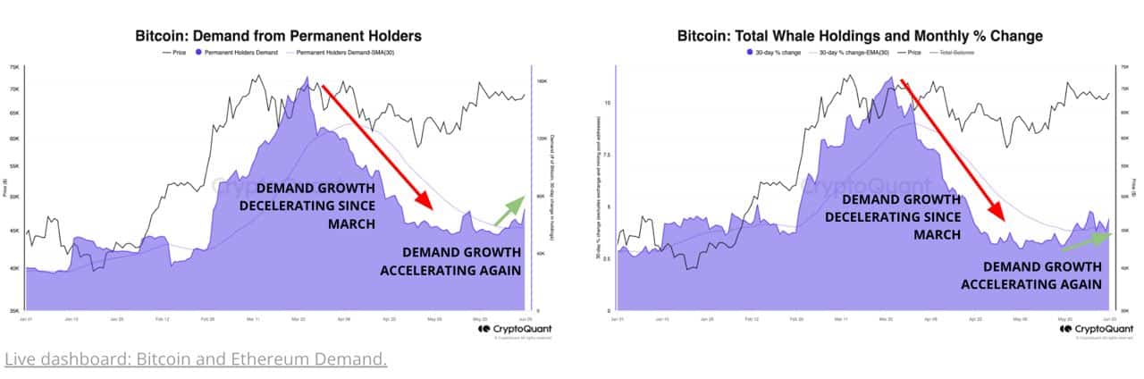 bitcoin balina birikimi artıyor