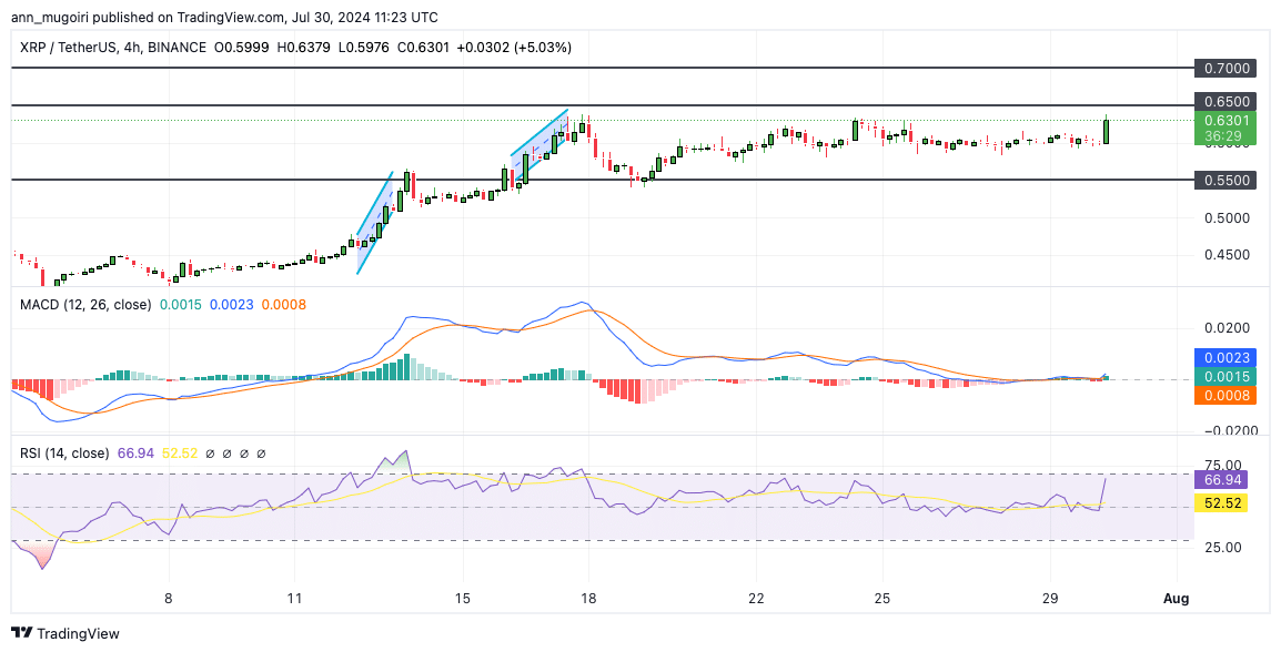 xrp coin fiyat tahmini