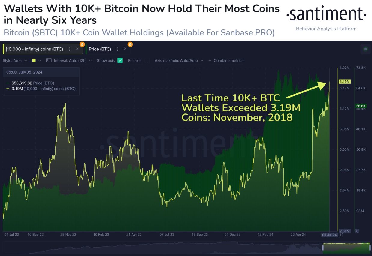 Santimetn bitcoin balinalarına ışık tuttu