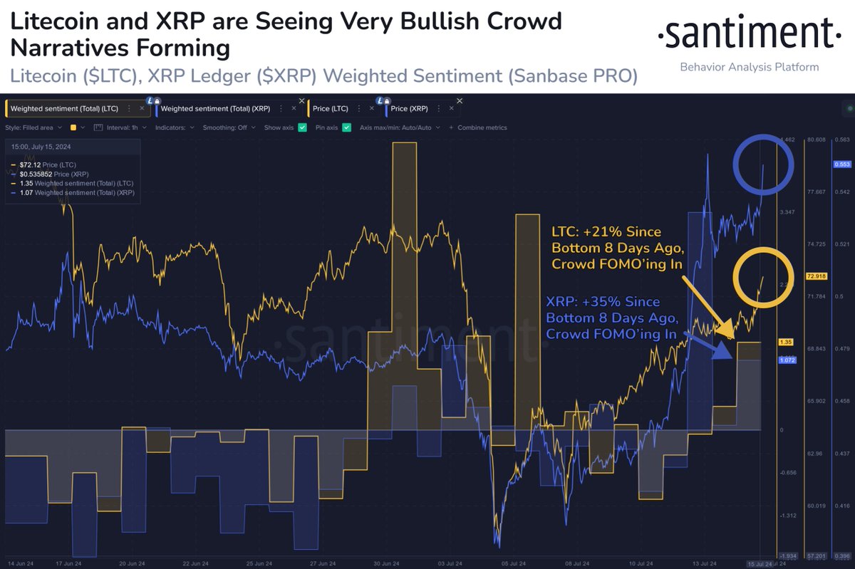 Santiment XRP ve Litecoin analizi