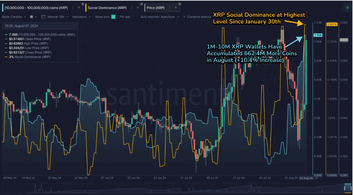 xrp fiyat tahmini