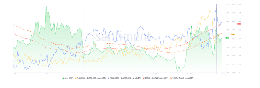 xrp fiyat tahmini