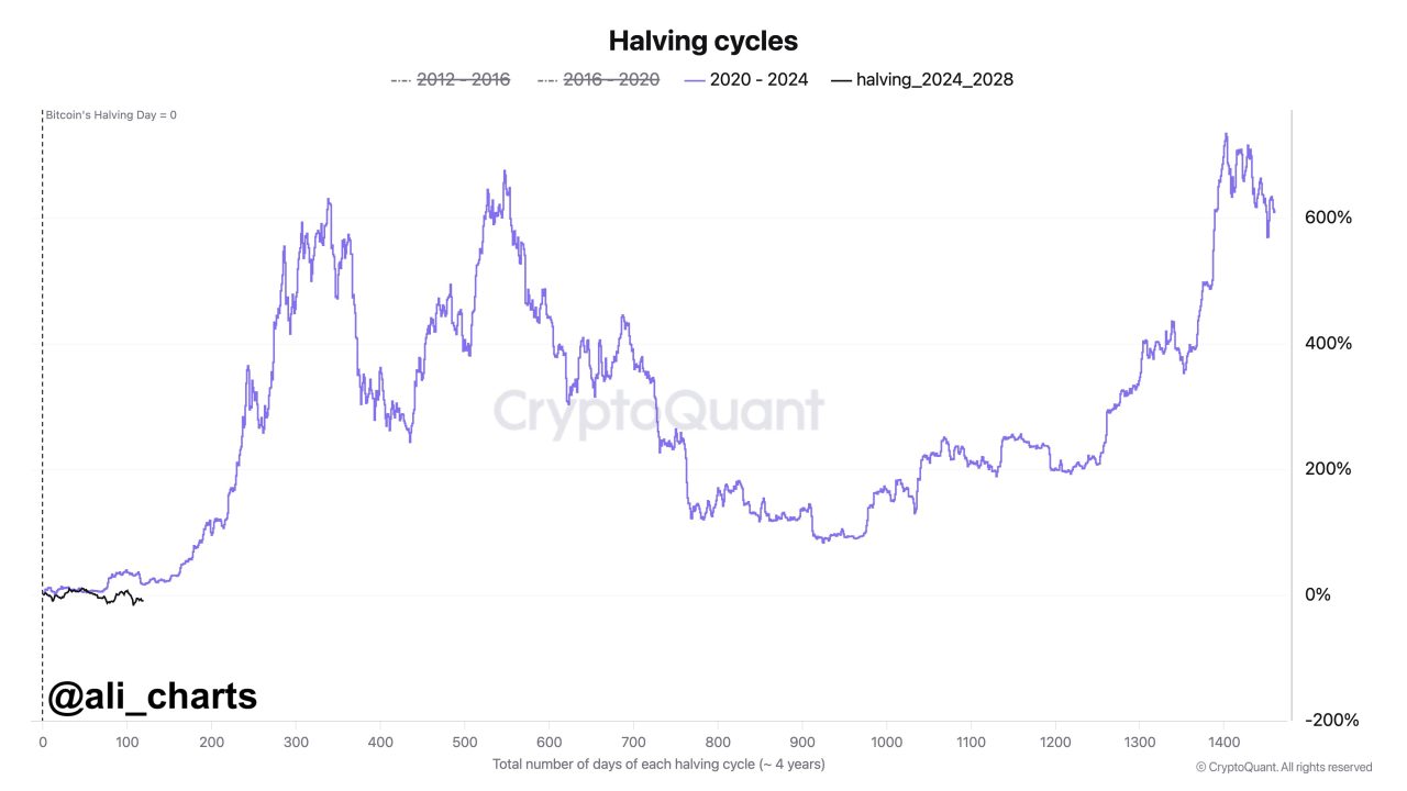 Bitcoin halving döngüleri