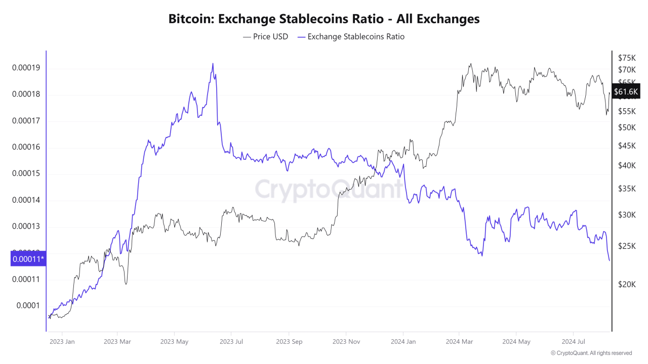 borsa stablecoin oranı