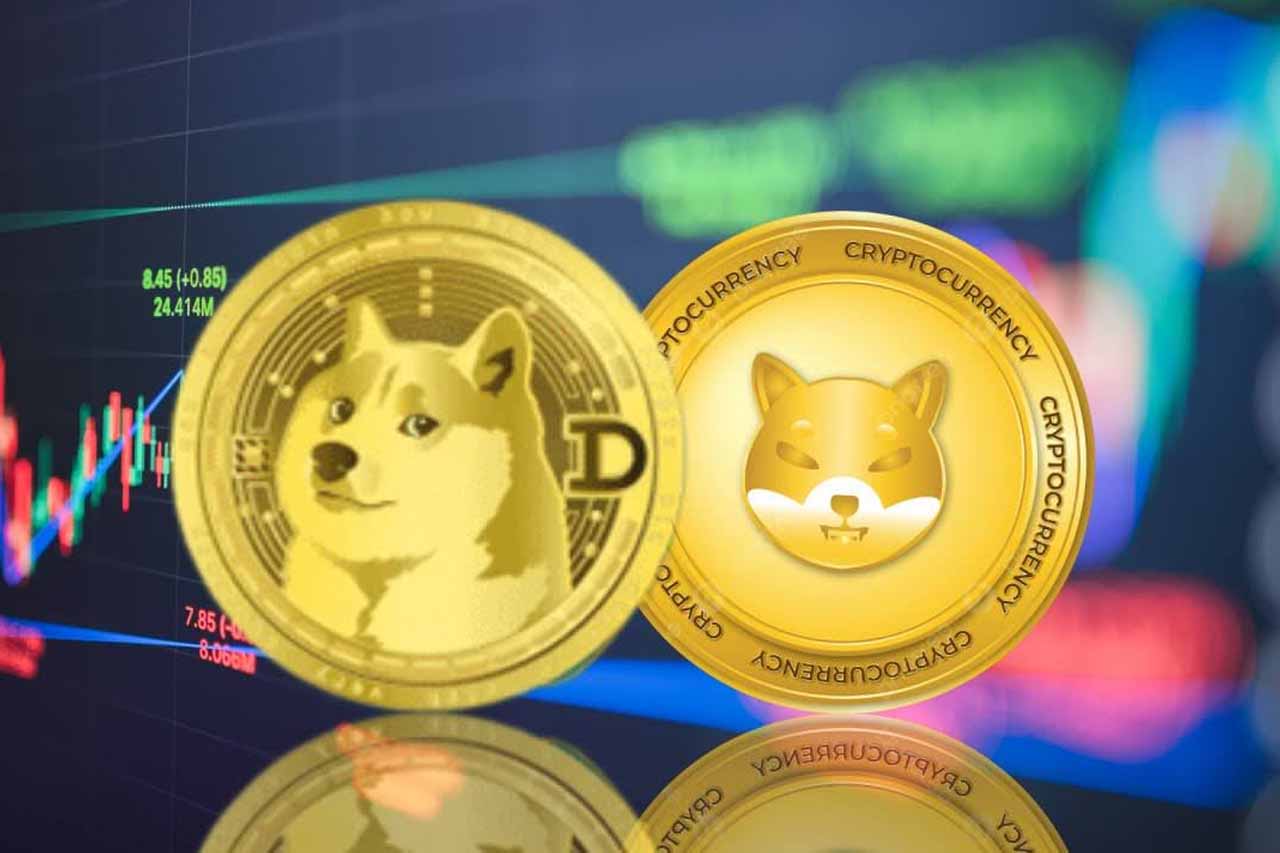 doge1