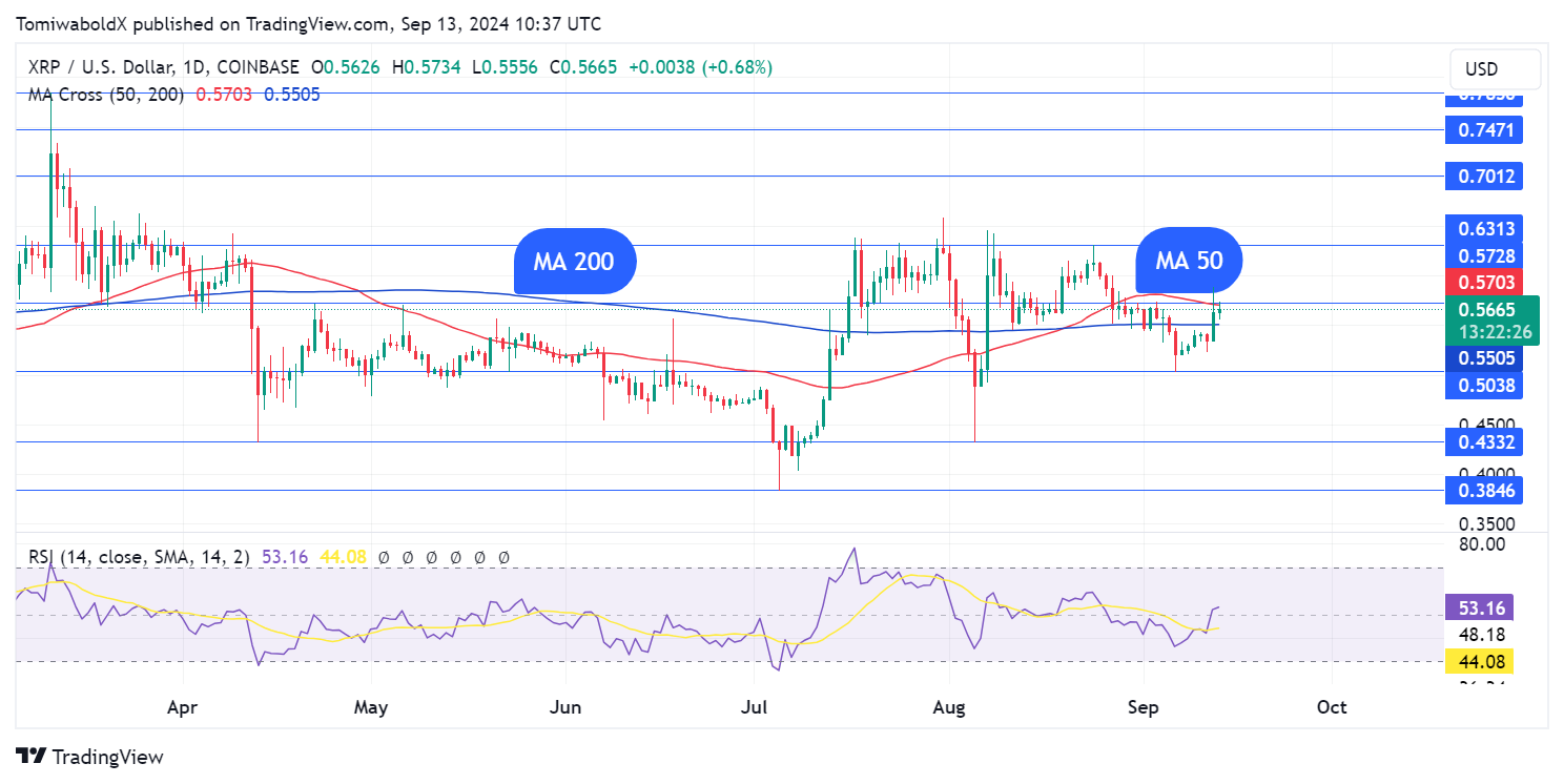 xrp coin fiyat analizi