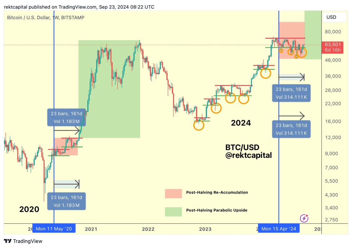 Bitcoin halving dögüsü