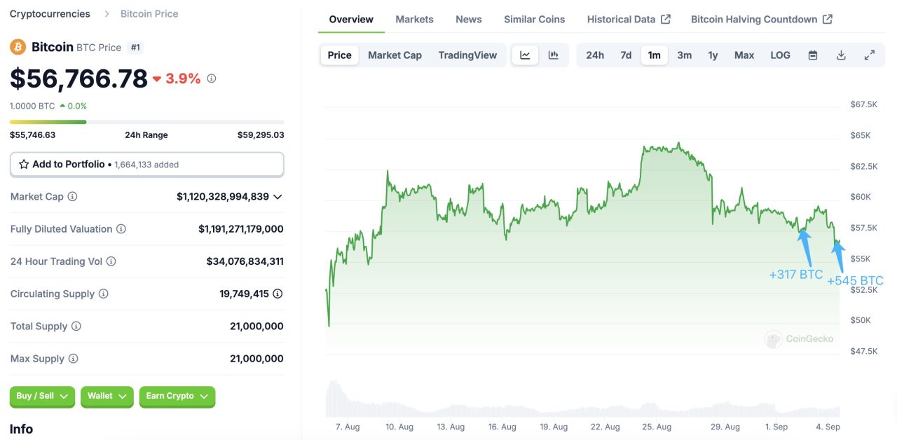 Balinadan Bitcoin alımı