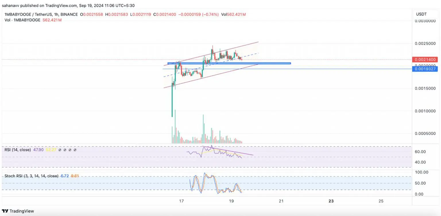 Baby DogeCoin fiyat analizi