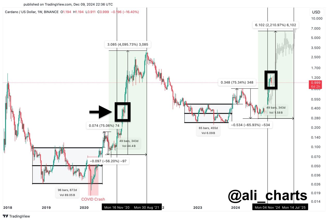 Cardano analizi