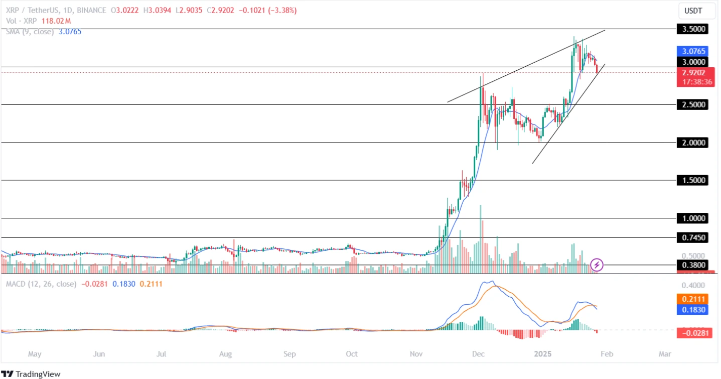 XRP fiyat grafiği