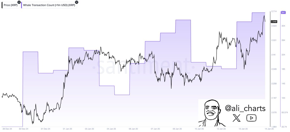 Büyük XRP işlemleri