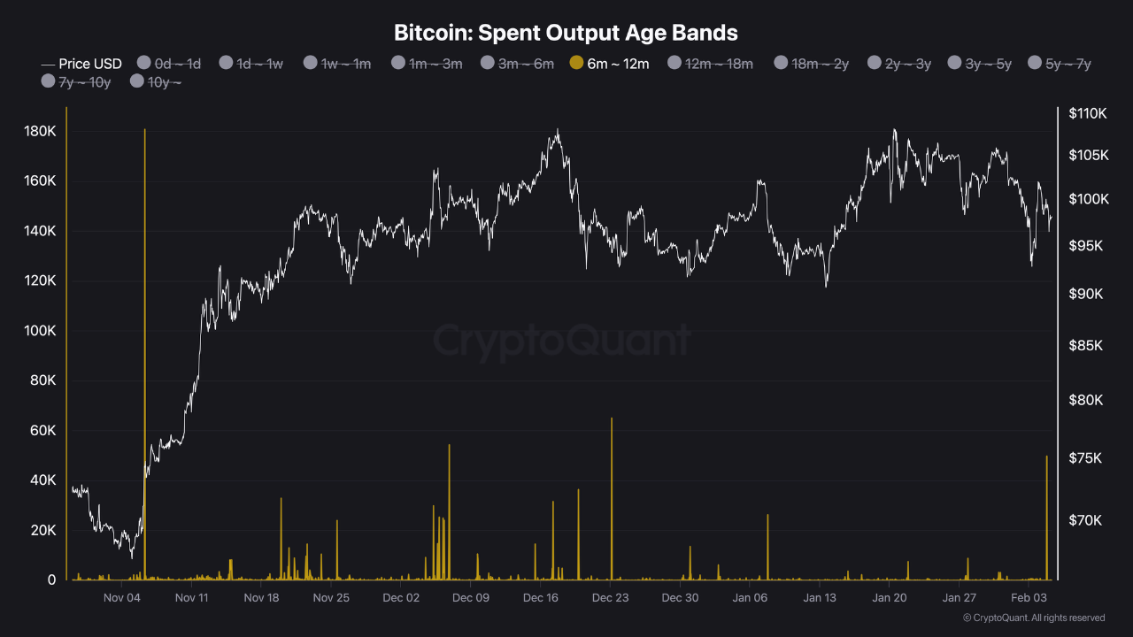 CryptoQuant Bitcoin analizi