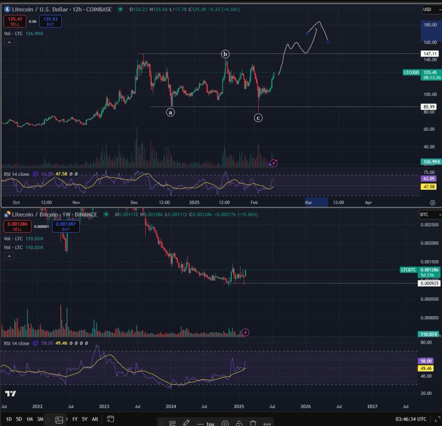 Litecoin fiyat grafiği