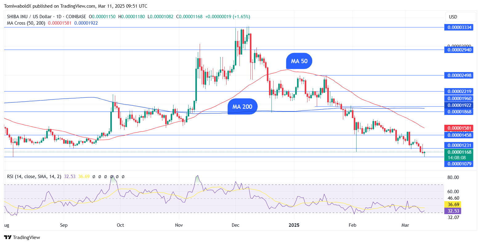 Shiba Inu fiyat grafiği. Kaynak: TradingView