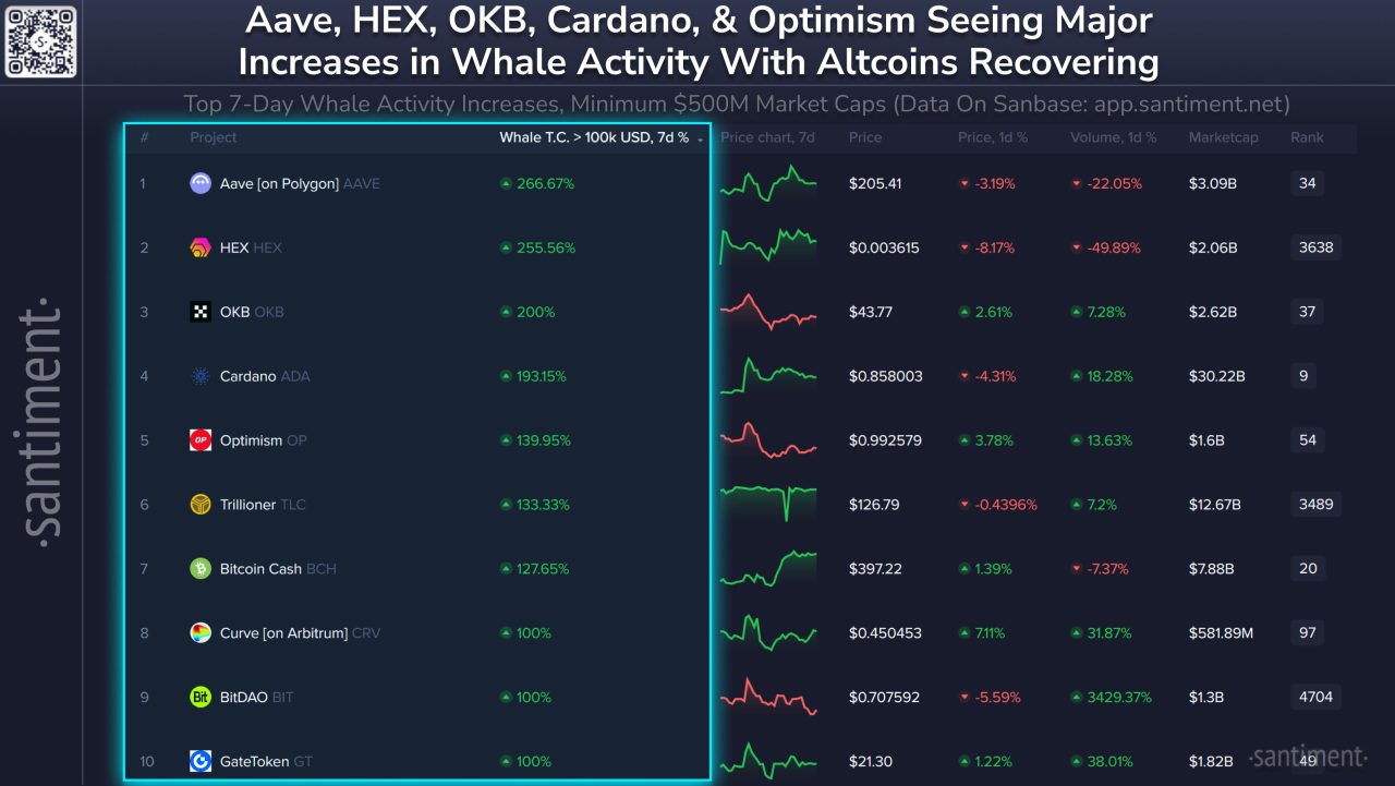 Balina faliyetleri artan altcoin'ler