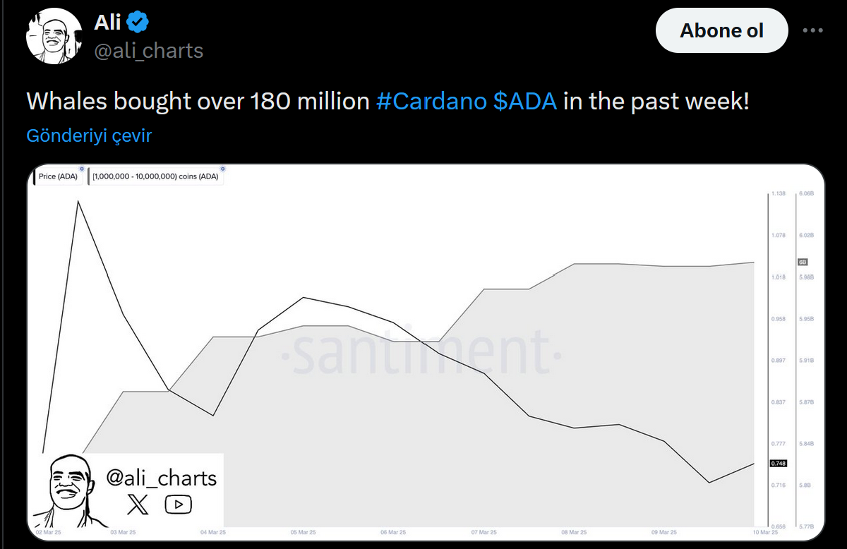 Ali Martinez'in Cardano paylaşımı