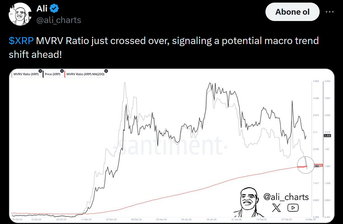 Ali Martinez'in XRP analizi