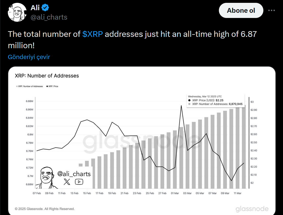 Ali Martinez'in XRP paylaşımı