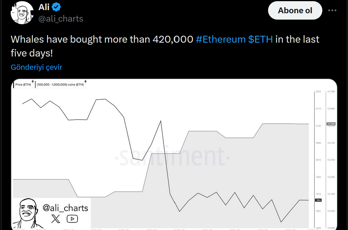 Ali Martinez'in Ethereum balinalarıyla ilgili paylaşımı