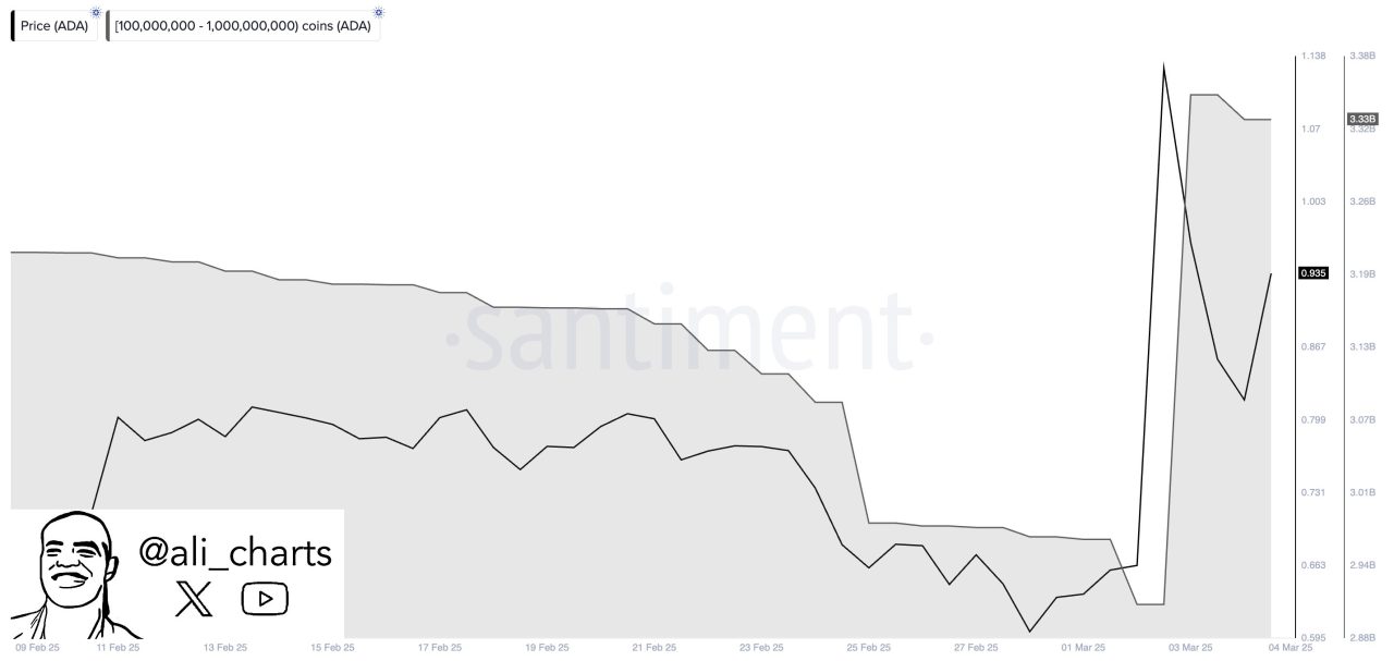 Cardano (ADA) balinaların alım hamlesi