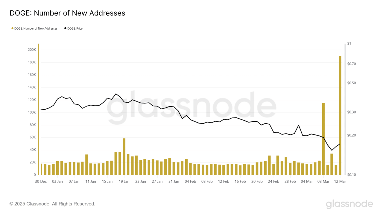 Dogecoin yeni adres sayısı