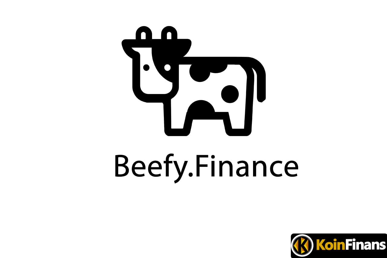 Beefy Finance (BIFI) Nedir? BIFI Coin'e Giriş! - KoinFinans