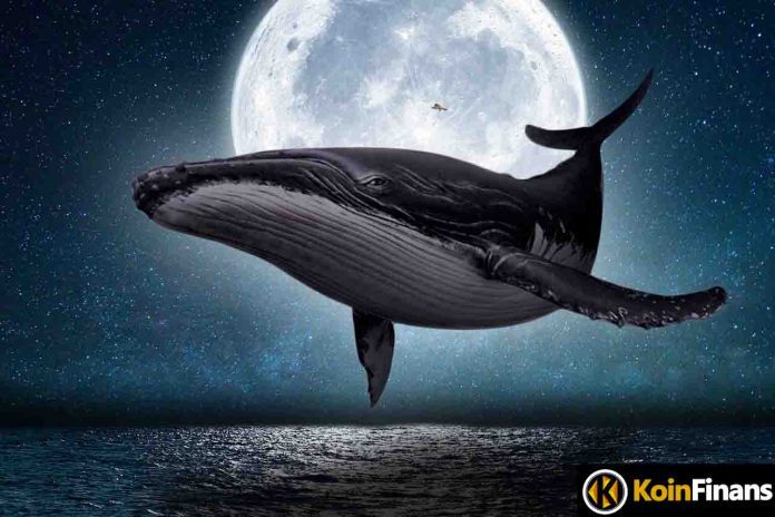 Ethereum Whales Attack!  Token Up 120%