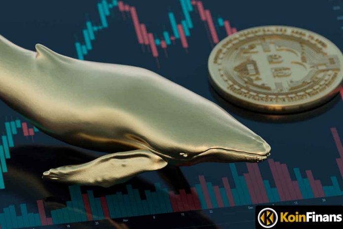 The Manipulation Power and Effects of Crypto Whales