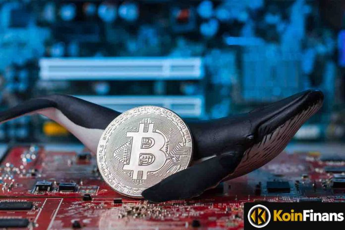 Sleeping Bitcoin Whales Move: What's Happening?